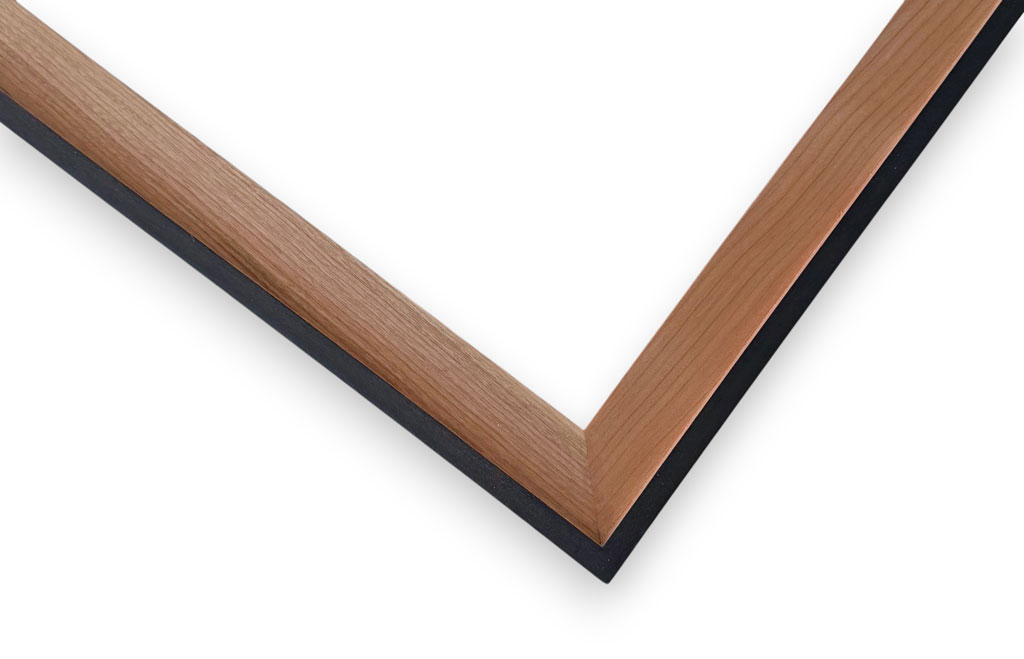 Dion Merisier filet et dos noirs